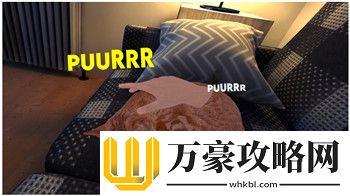 票房大卖王五星艺人主力
