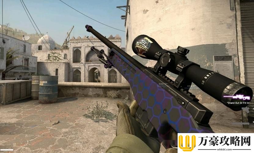 为什么日本CSGO大姐姐AWP会成为玩家心中的偶像