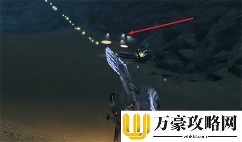 怪物猎人荒野照暗蜂在哪里